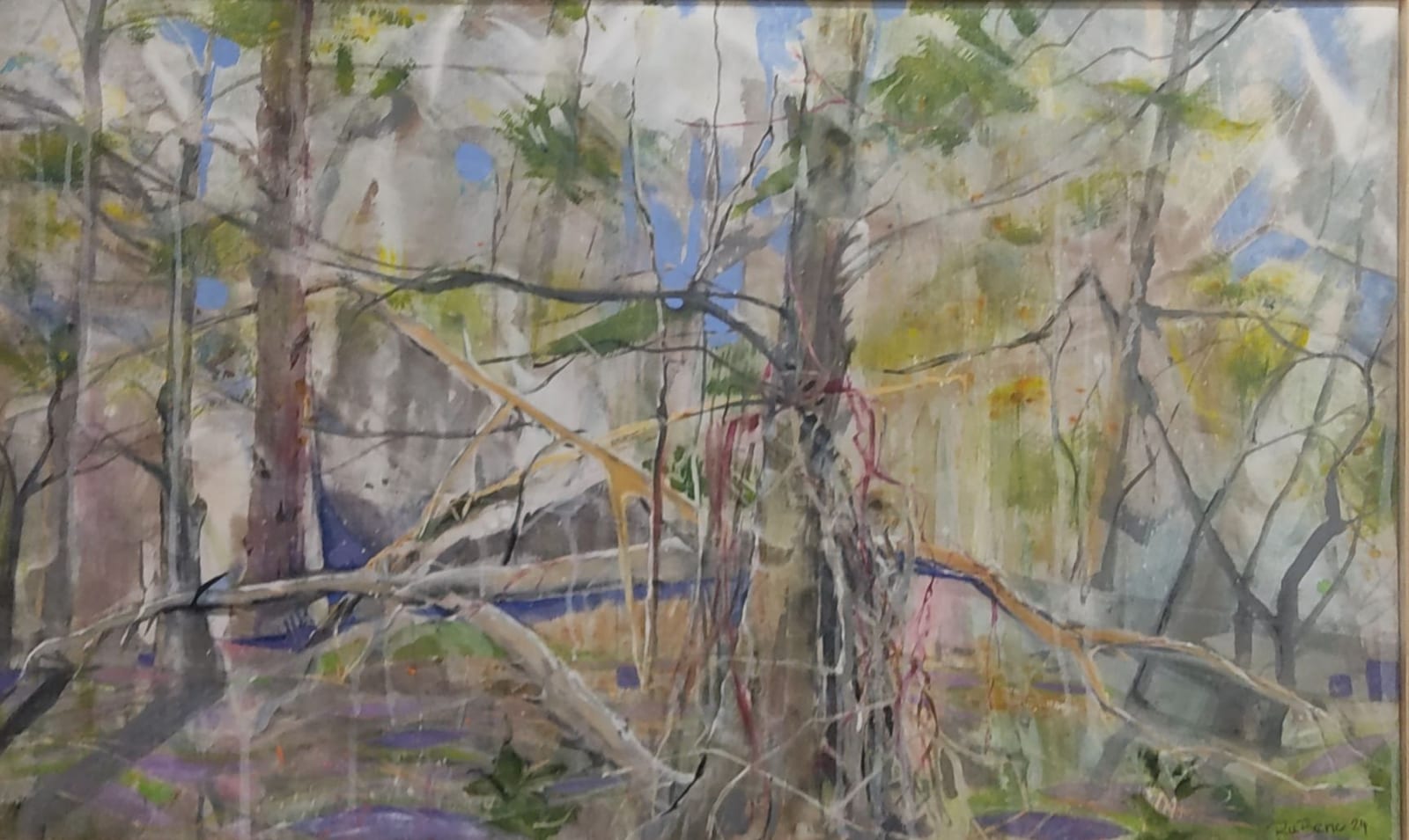 Virgin Forest 3