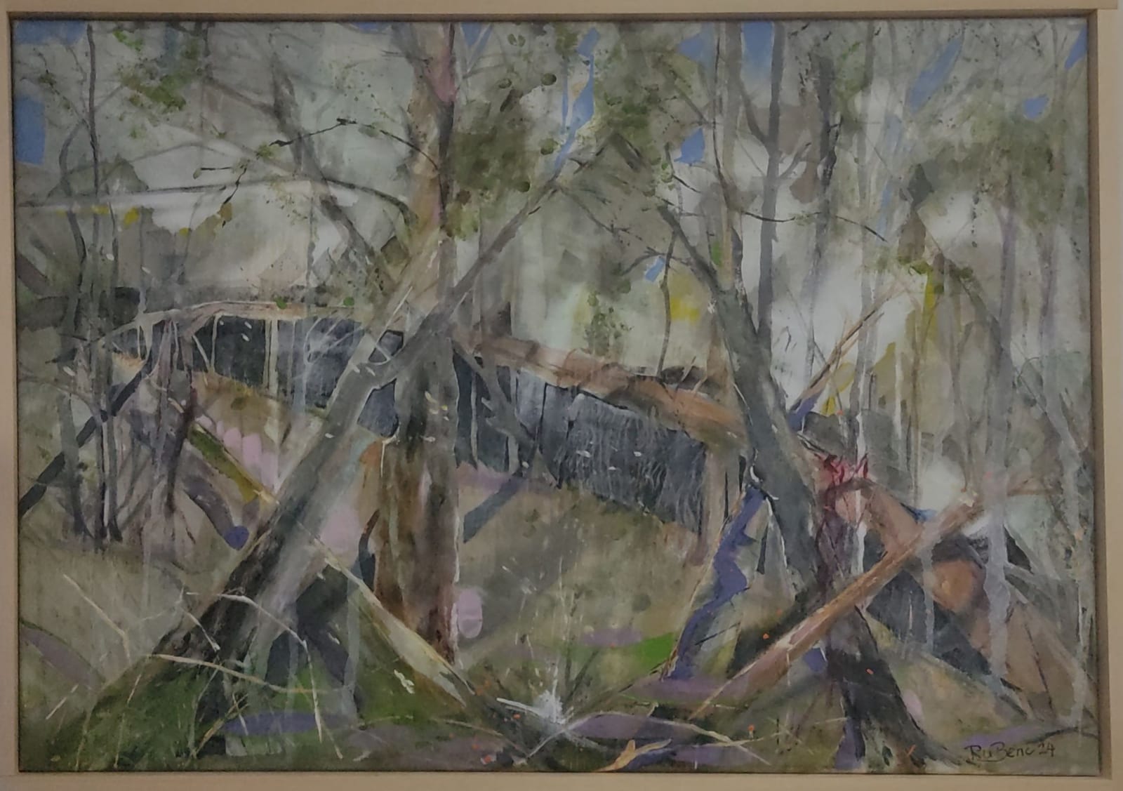 Virgin Forest 4