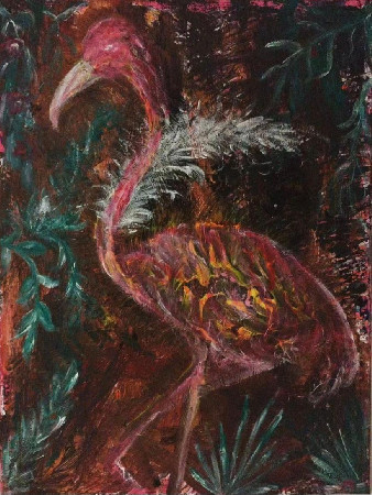 Flamingo