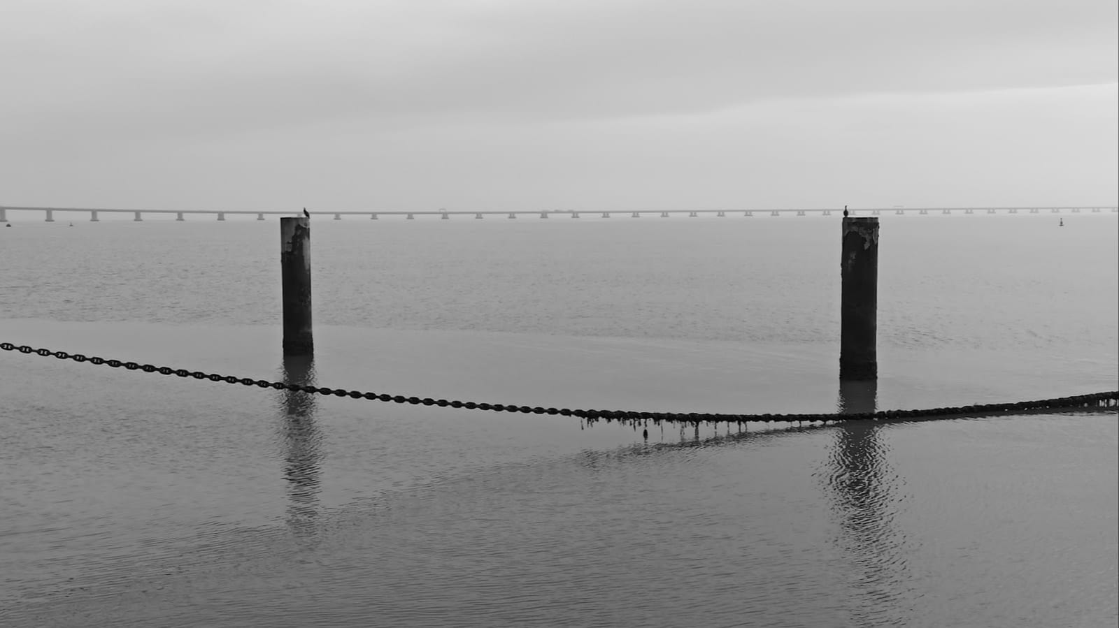 Kunst am Tejo - Teil 1