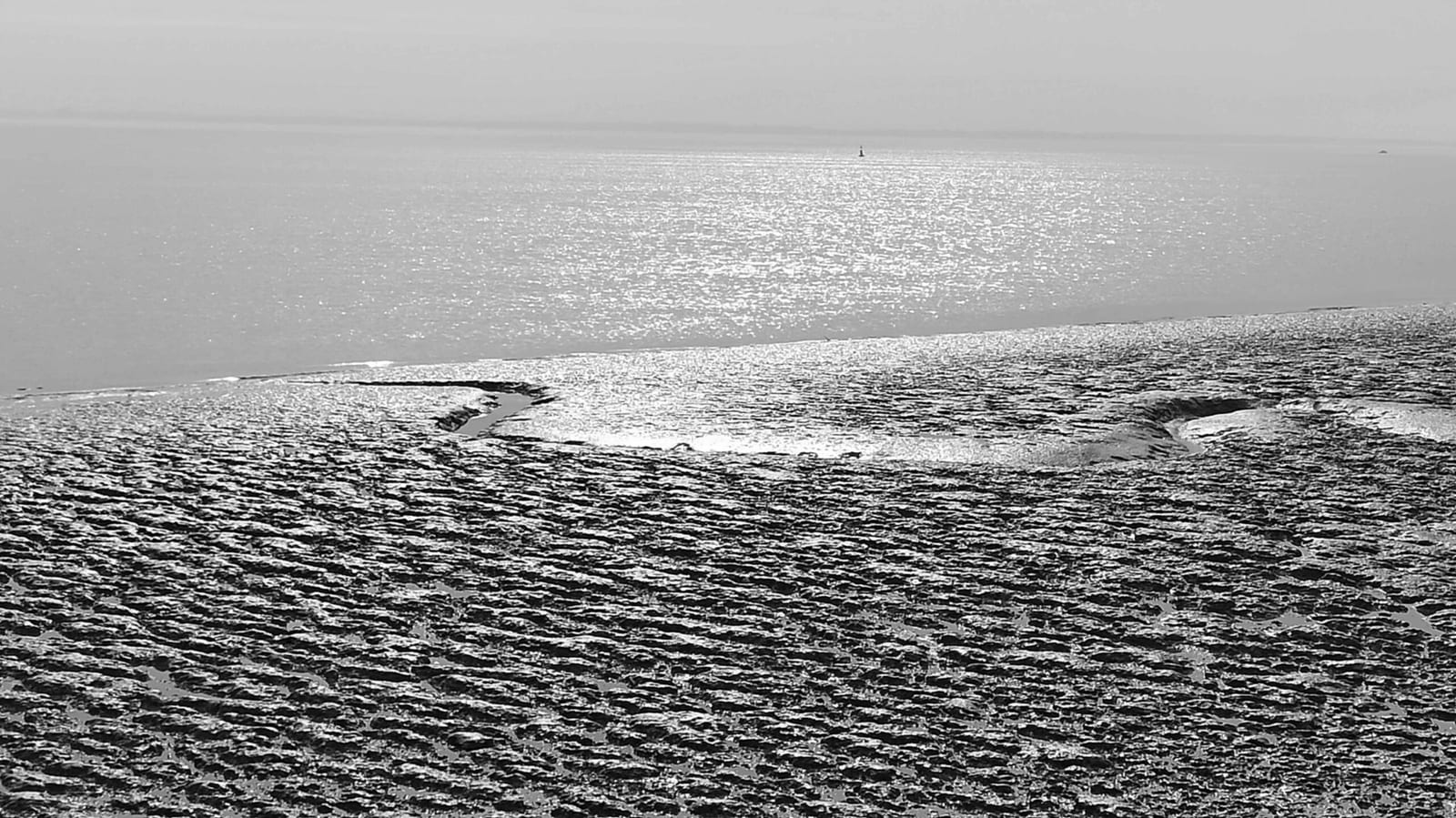 Kunst am Tejo - Teil 2