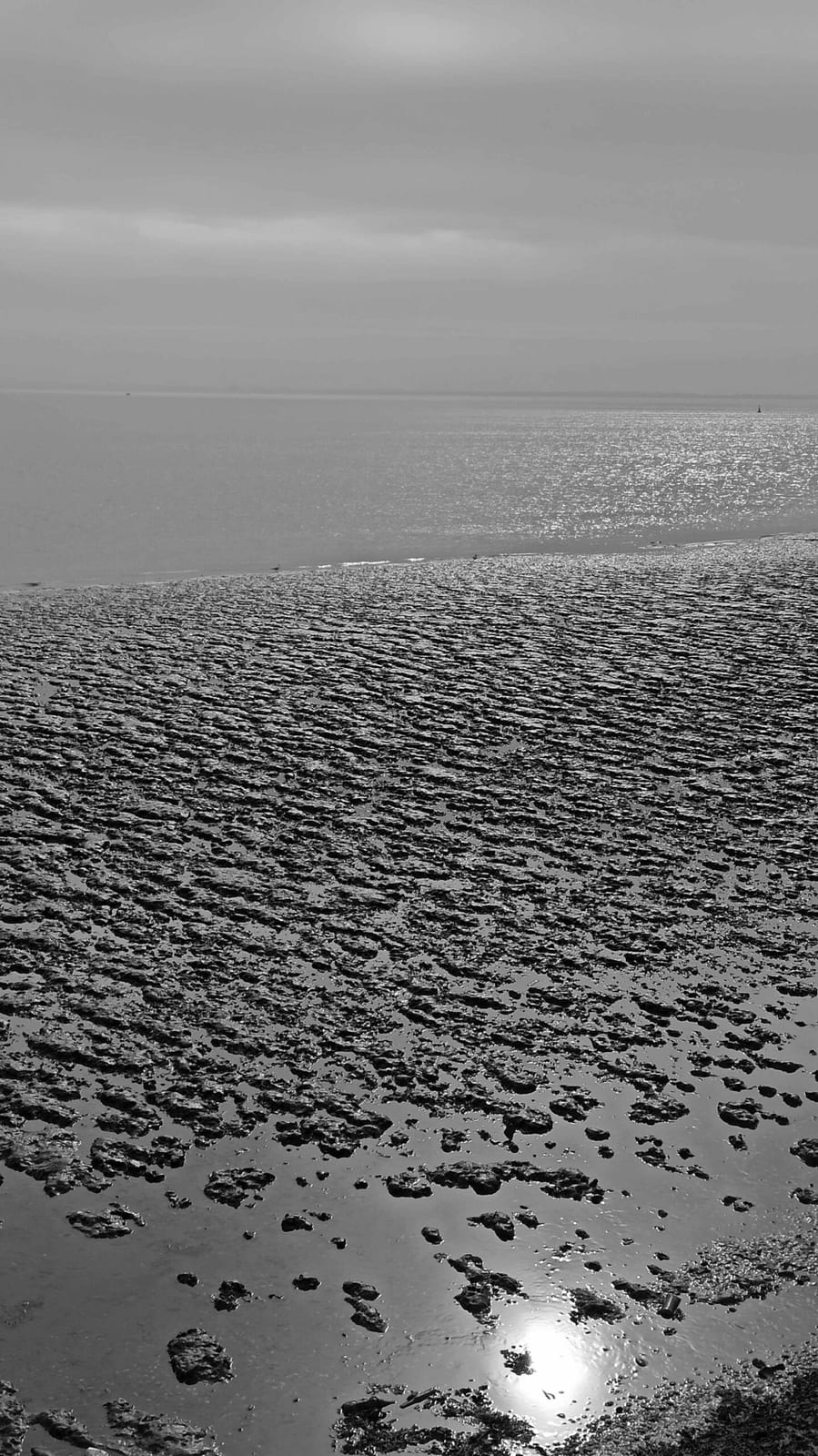 Kunst am Tejo - Teil 3