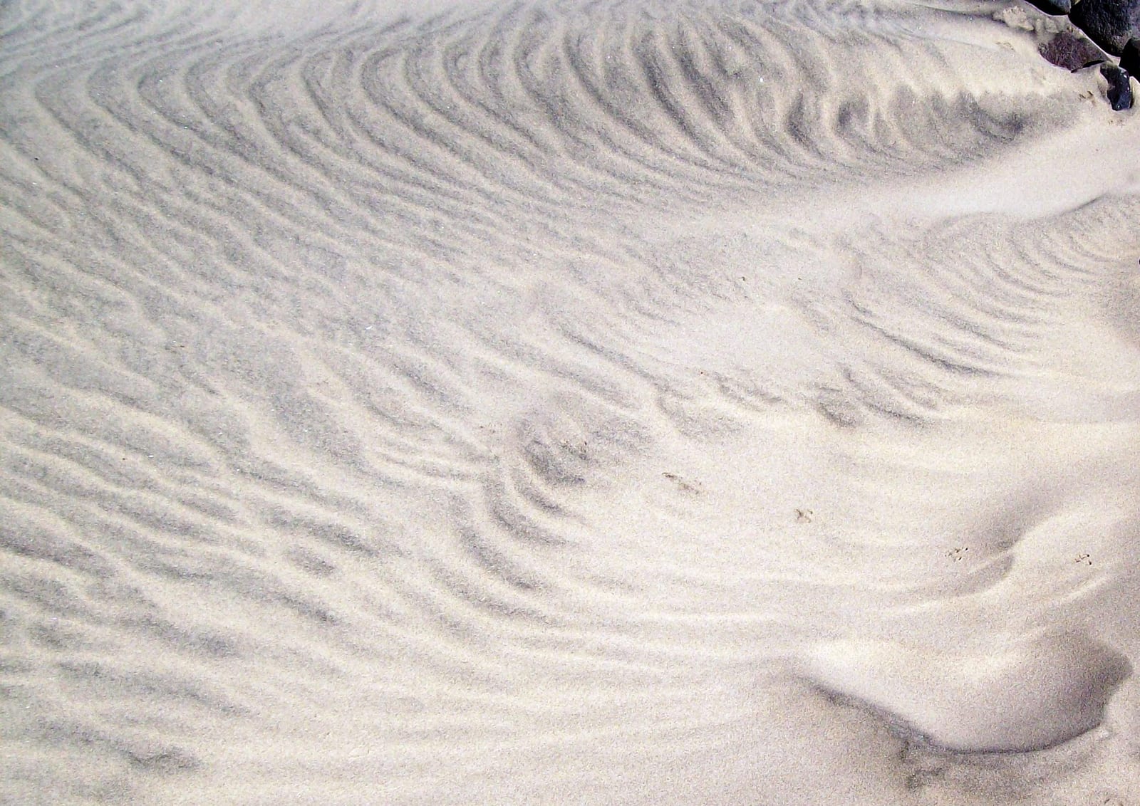 Kunst in den Dünen