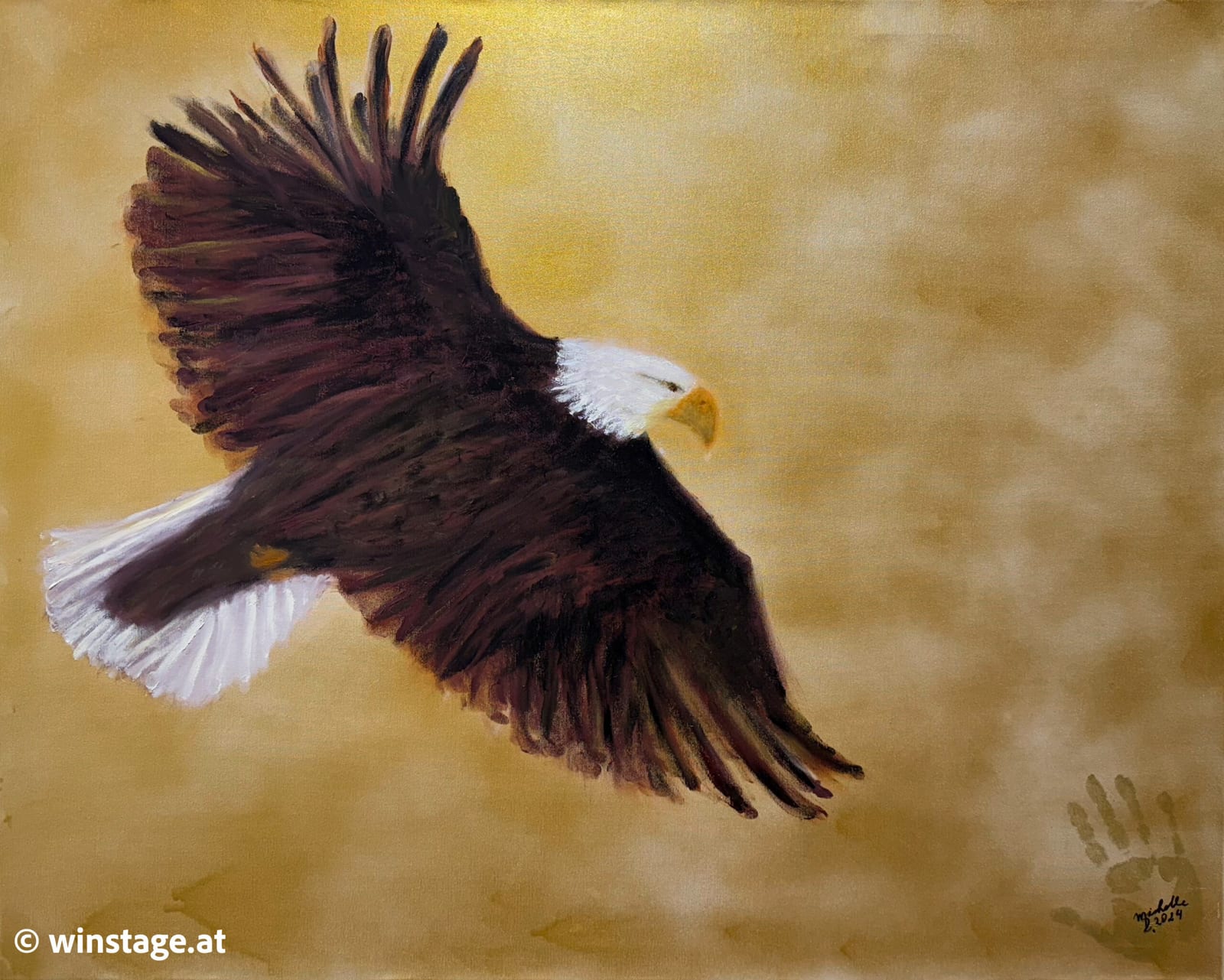 Weisskopfseeadler