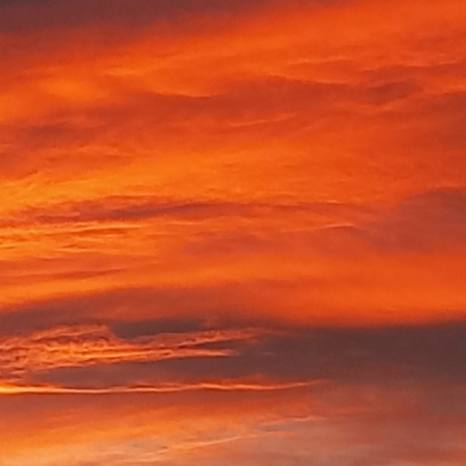 deep orange von SEd