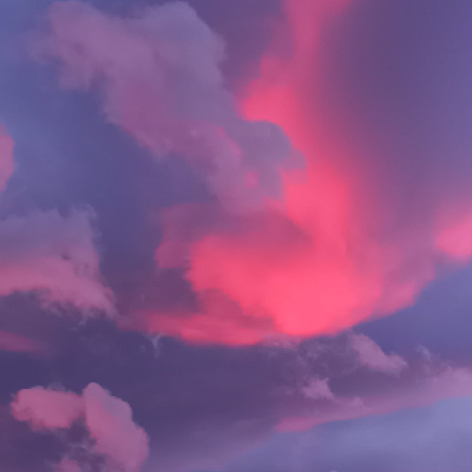 pink struggle von SEd