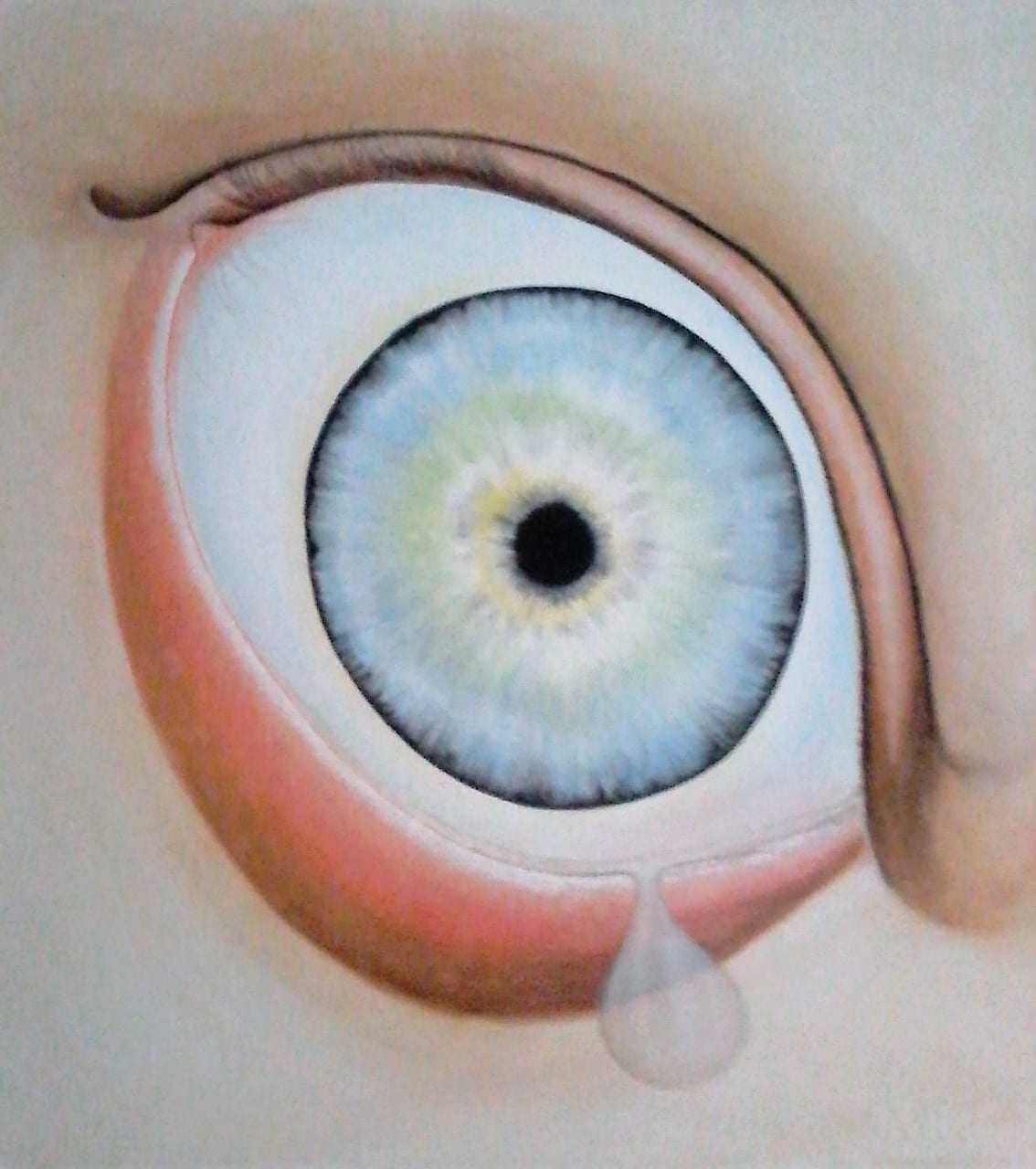 Das Auge sieht alles