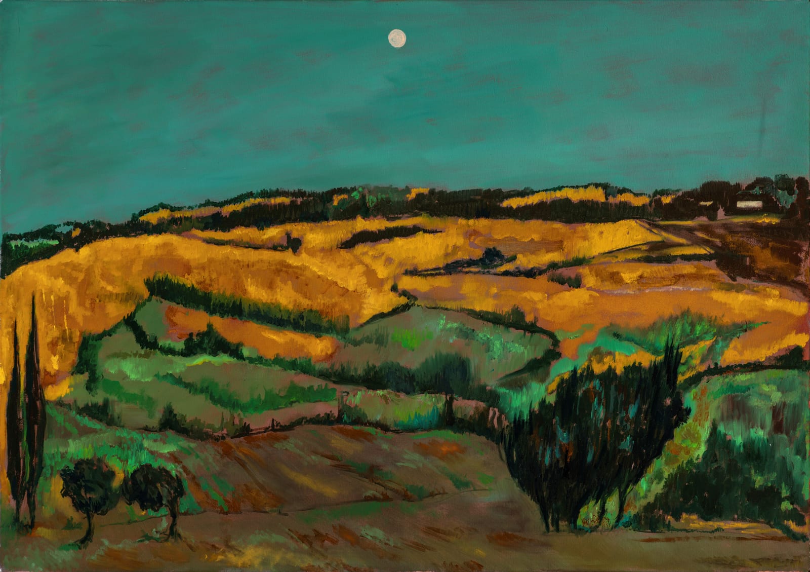 Vollmond von den Höhen bei Carignano von Ruben Garbellini