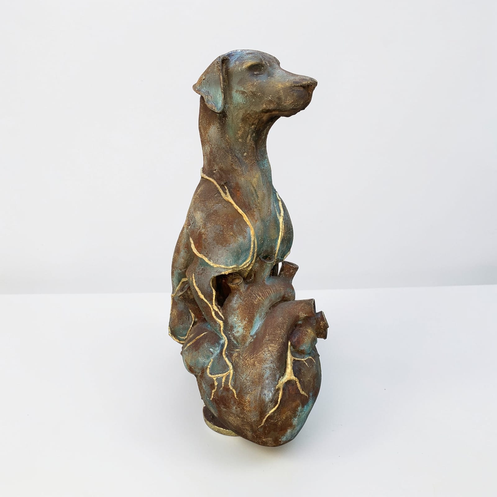 Anima Renovata von Caroline Hufnagel