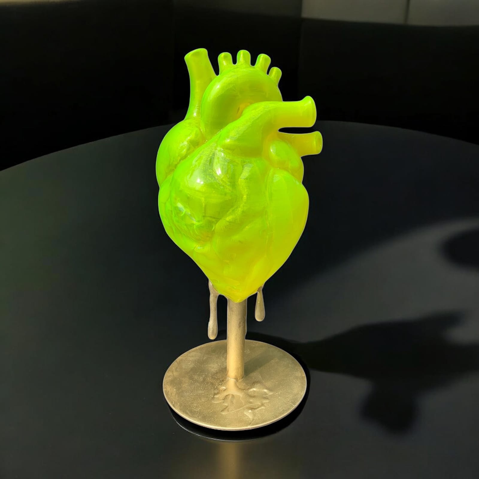 Cordis Solaris von Caroline  Hufnagel