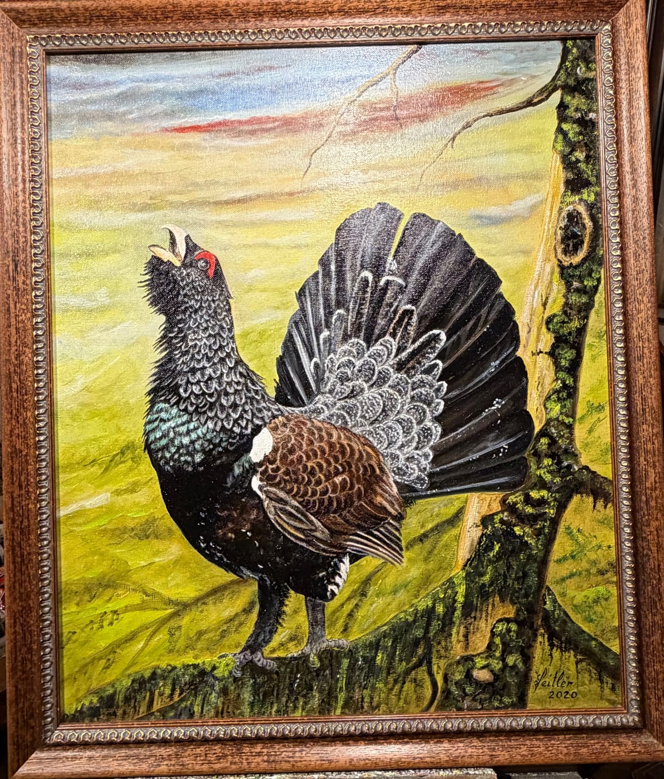 Auerhahn von Norbert Jeitler