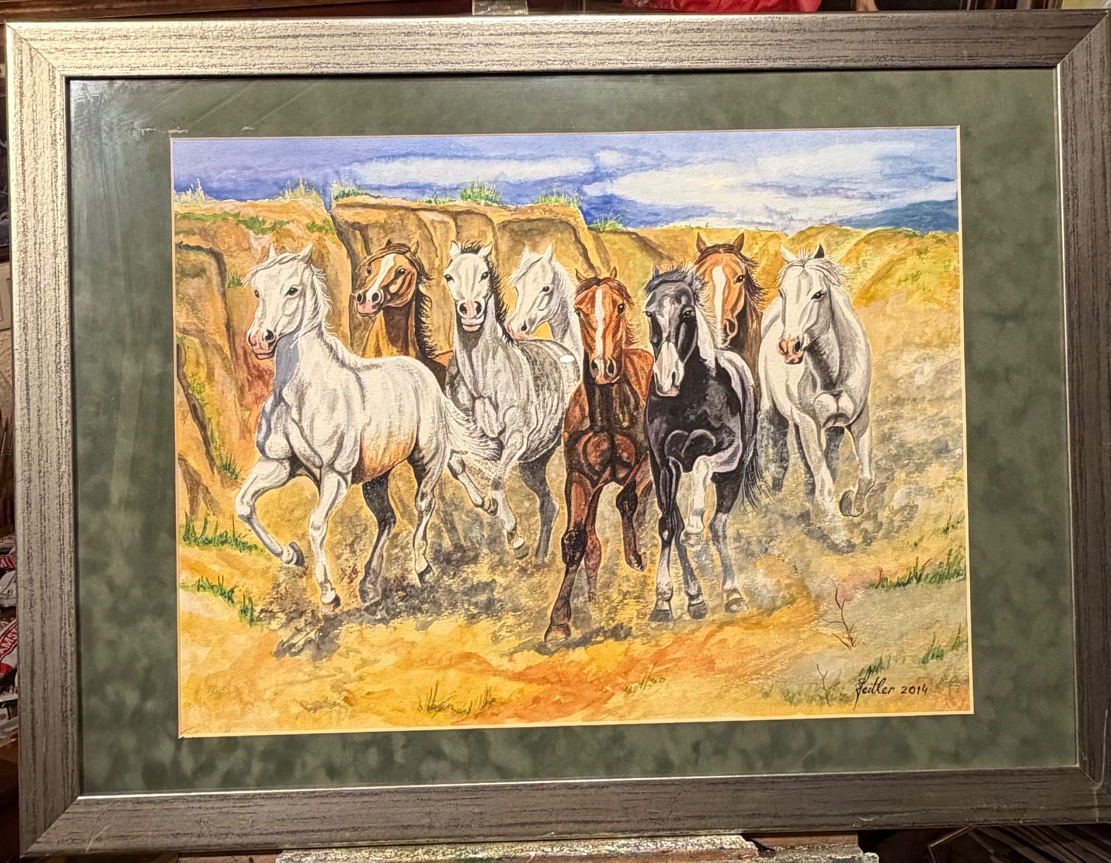 Wildpferde von Norbert Jeitler