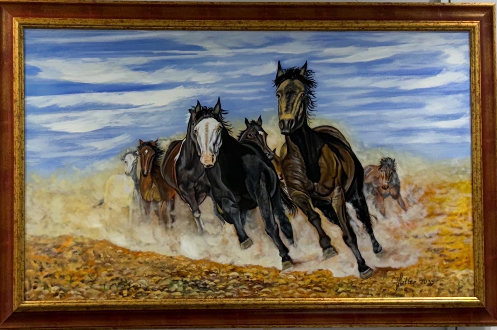Wildpferde von Norbert Jeitler