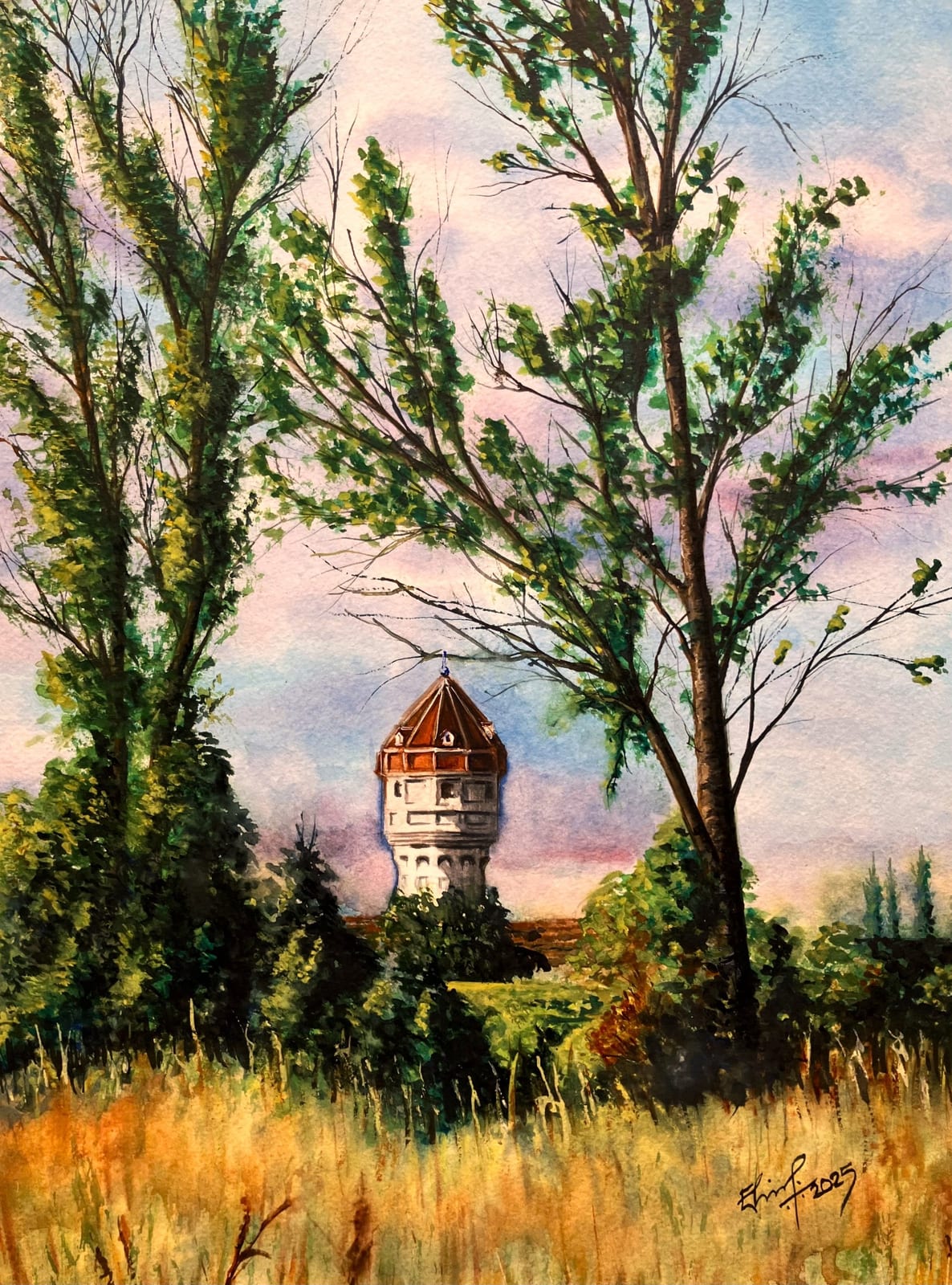 Wasserturm von Elcio Hermenegildo  Pereira Junior