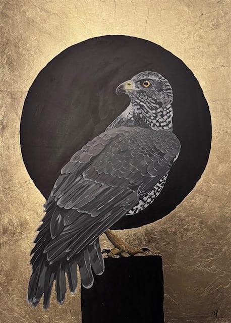 Golden Hawk