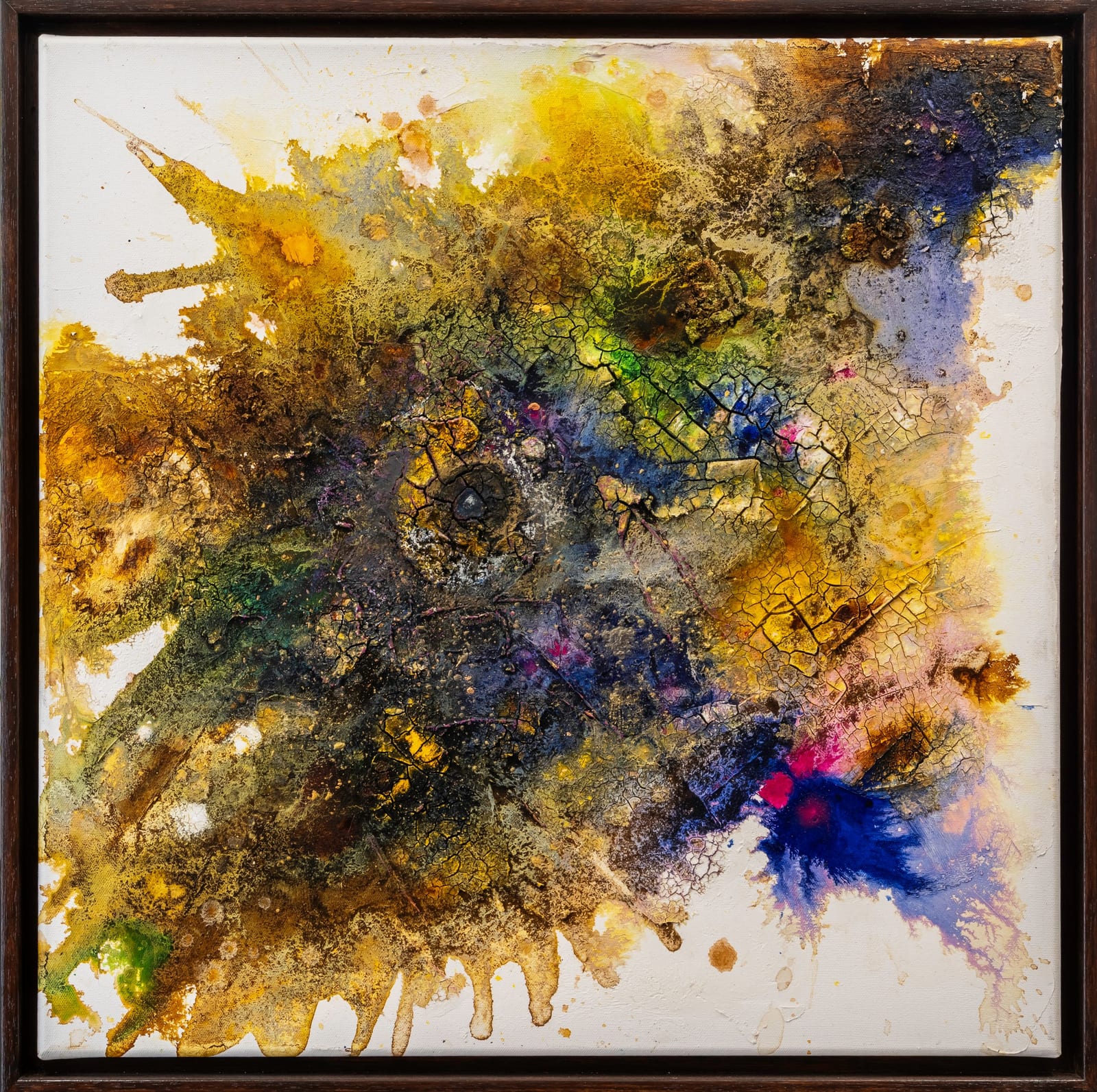 Fetzenfisch von Barbara Liss