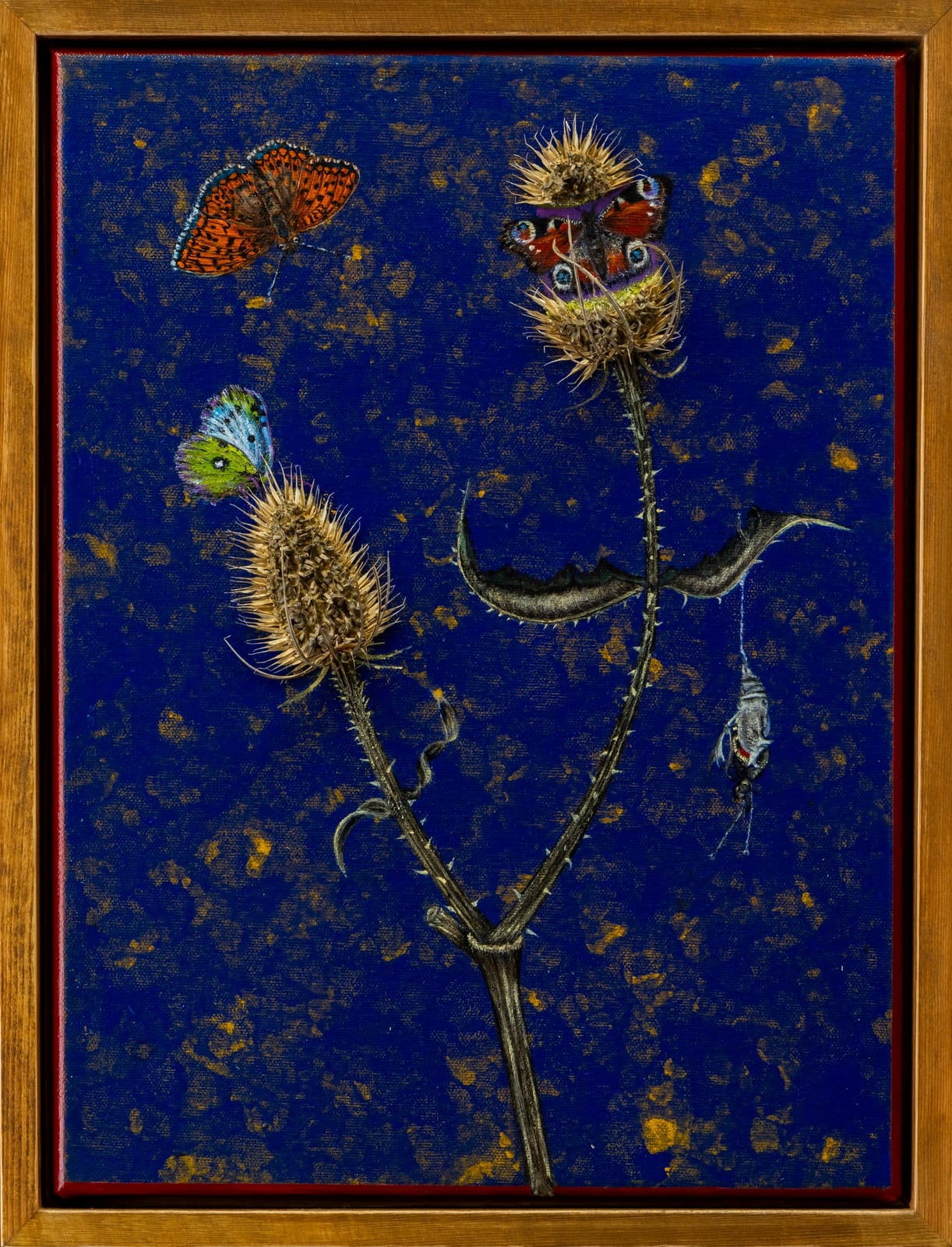 Unsere heimischen Schmetterlinge auf Kratzdistel von Barbara Liss