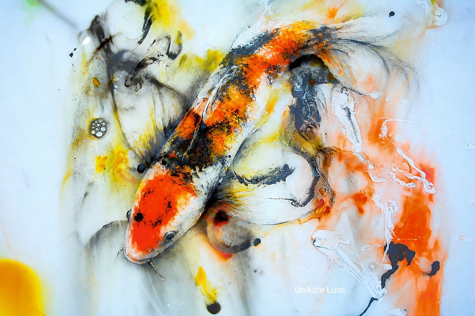 Koi des Glücks von Martin Luisi