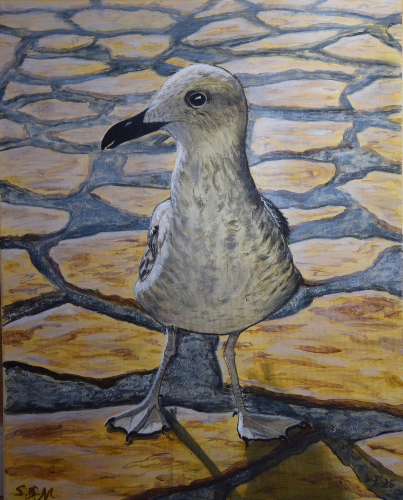 Möwe in Pose von Susanne Maddaluno