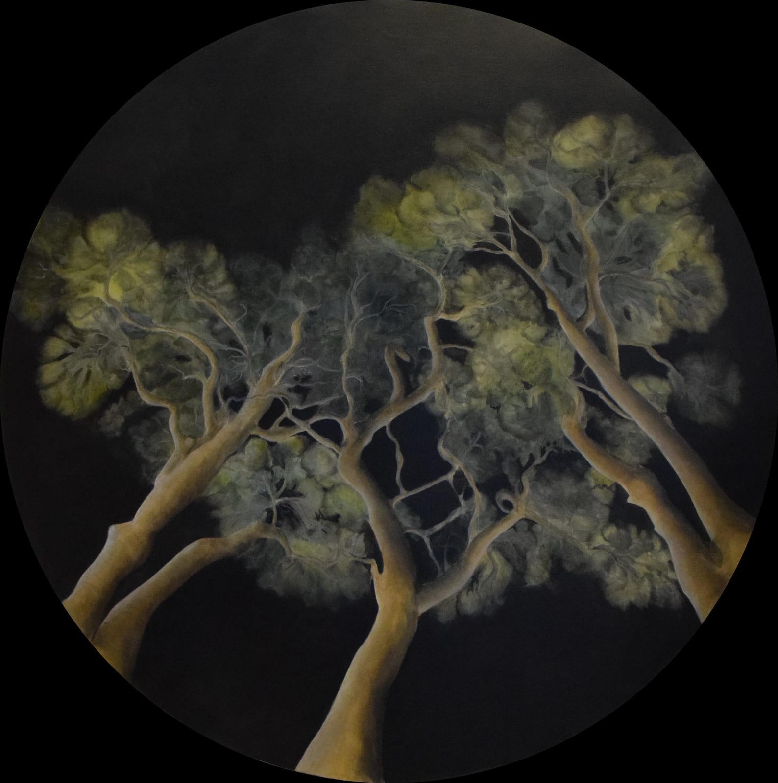 PRINCES IN THE DARK von Susanne Maddaluno