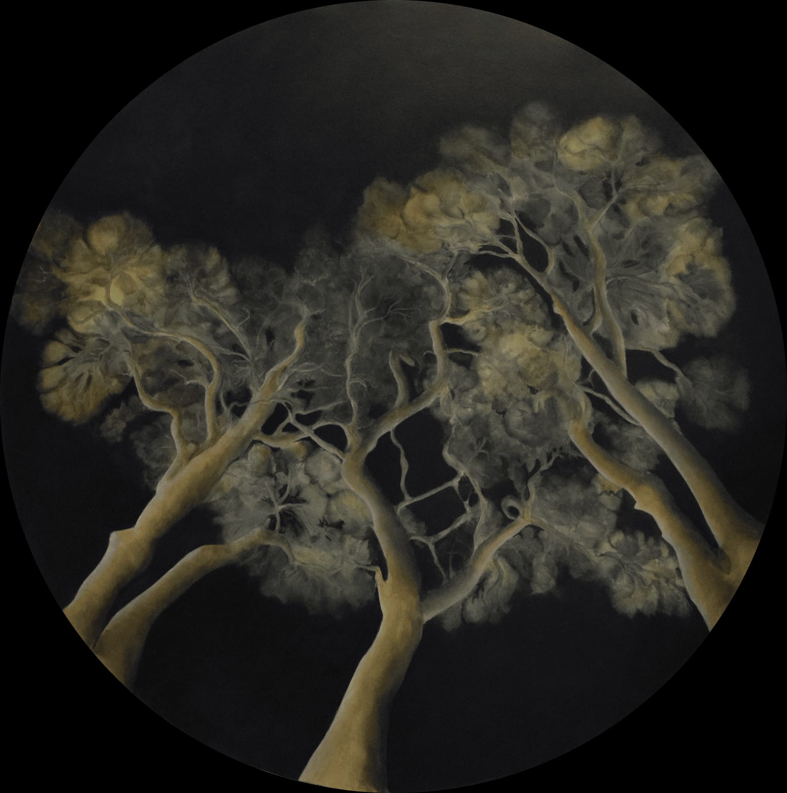 PRINCES IN THE DARK von Susanne Maddaluno