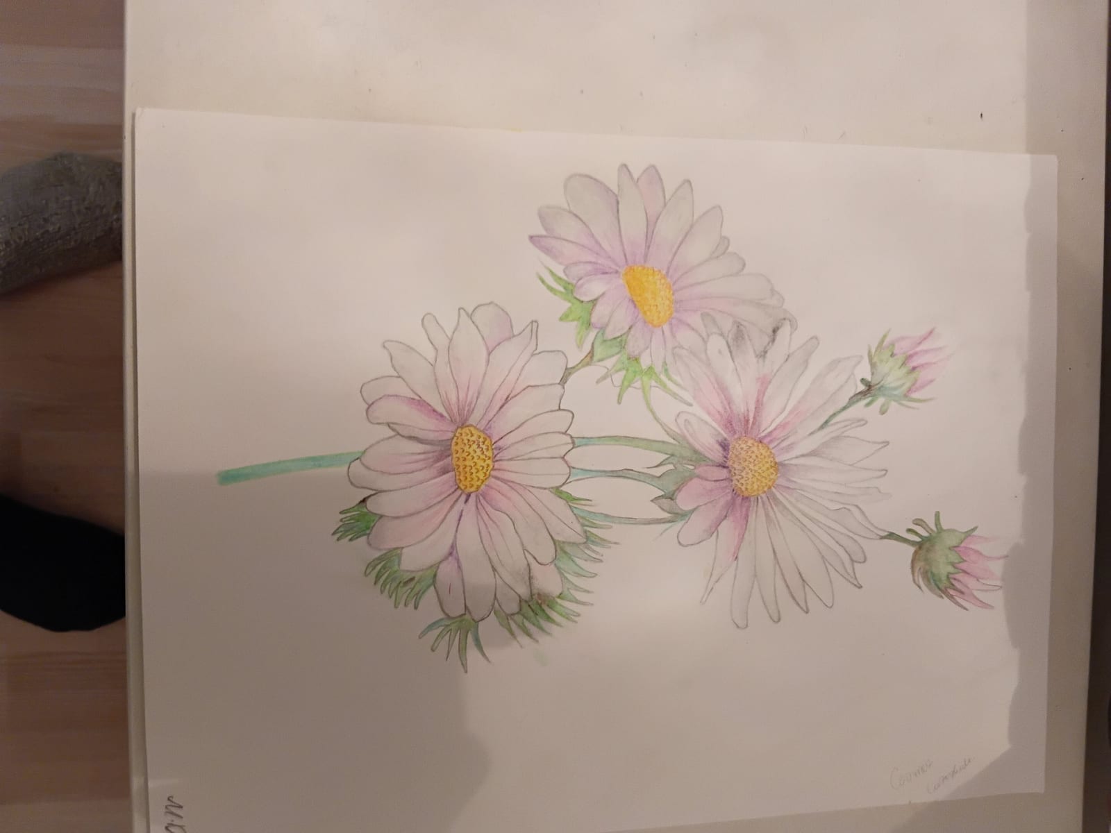Bunte Tulpen Blumen von Margarethe