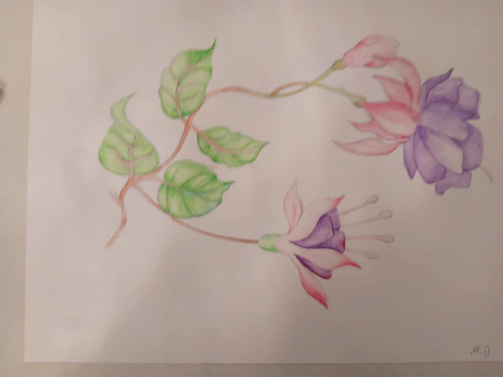LILA Blumen von Margarethe