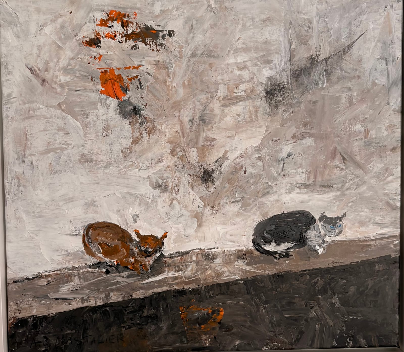 Katzen in Istanbul  von Andrea Mastalier