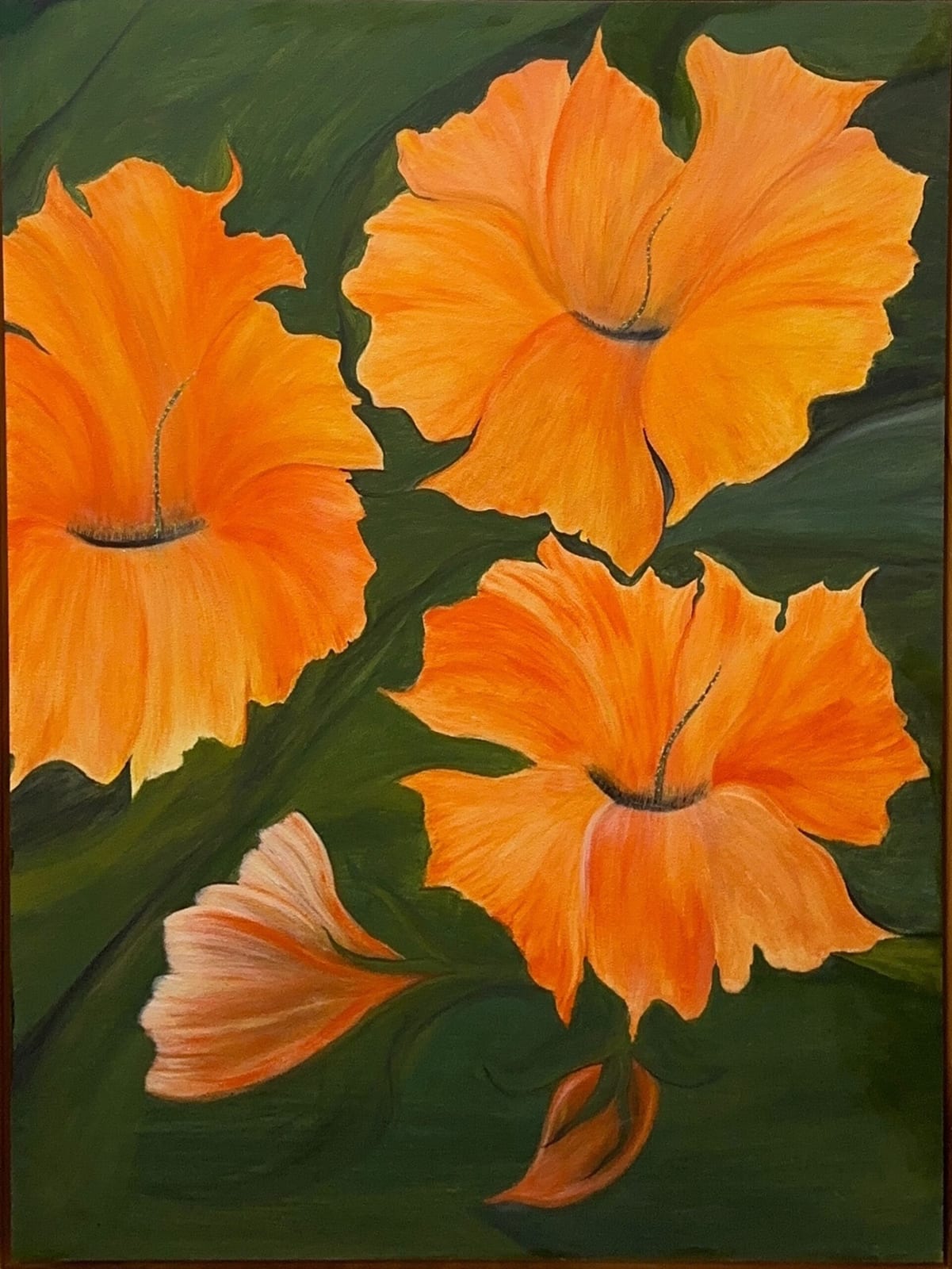 Hibiskus