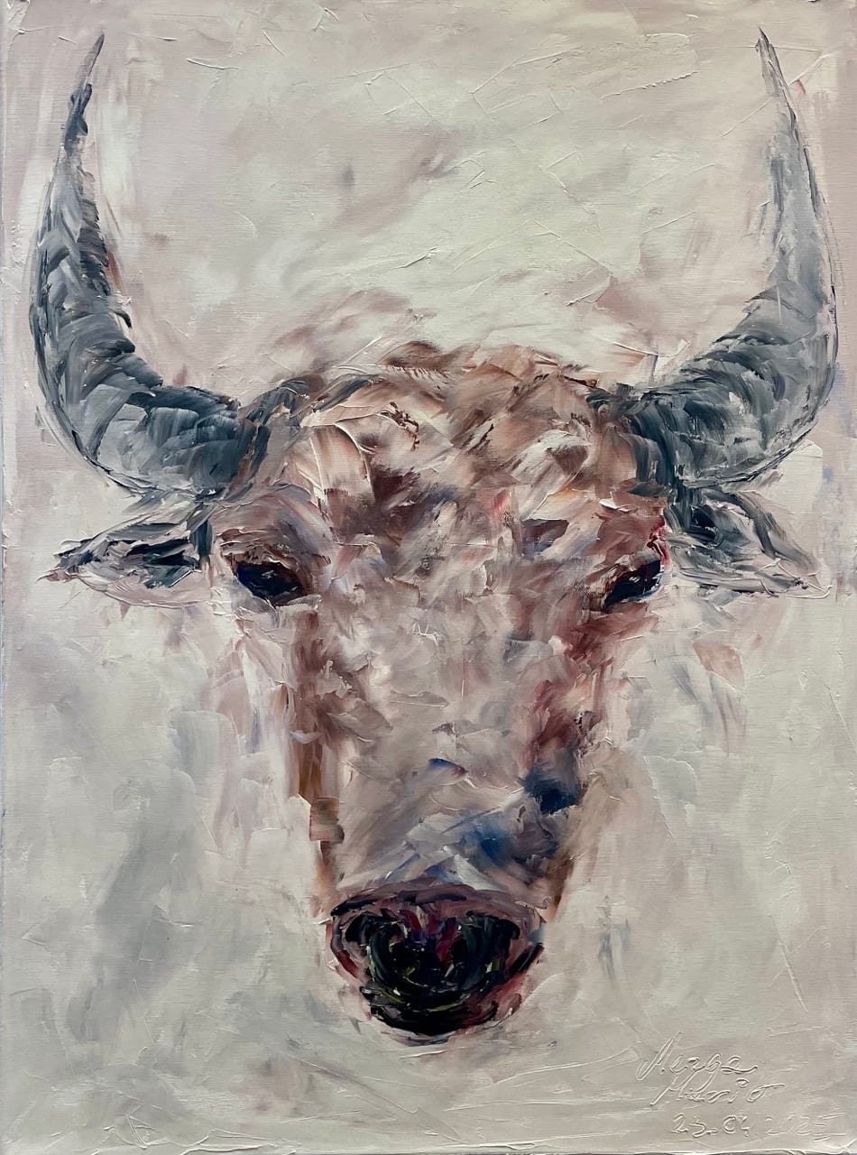 Stier