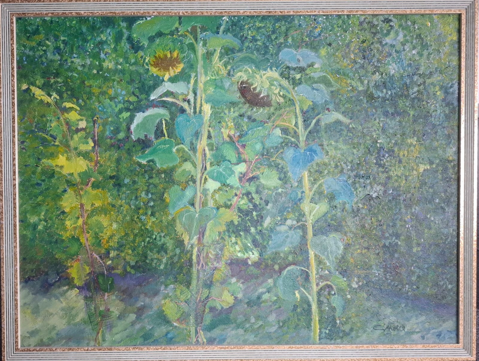 Bad Sauerbrunn , Sonnenblumen