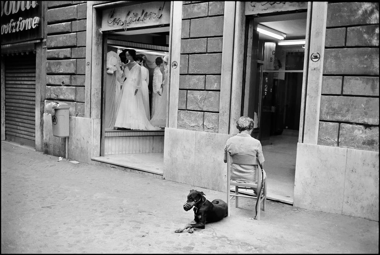 Woman, Dog and Wedding Dresses