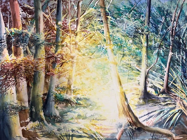 Waldlichtung