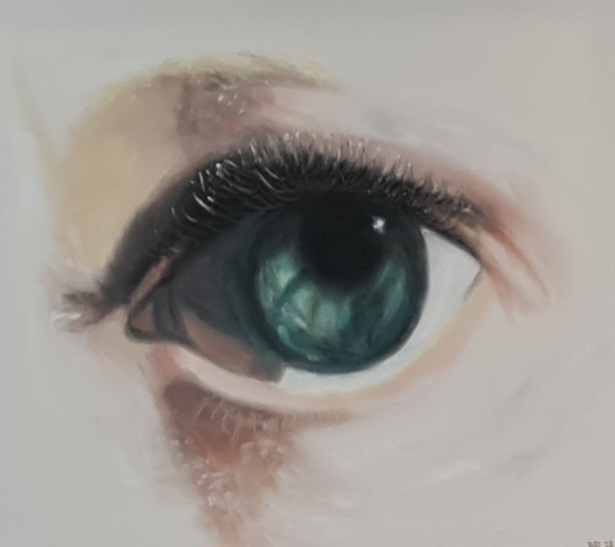 Auge