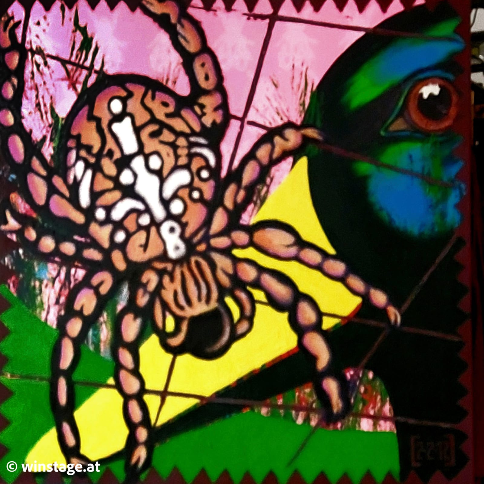 SPIDER ART - Wildente