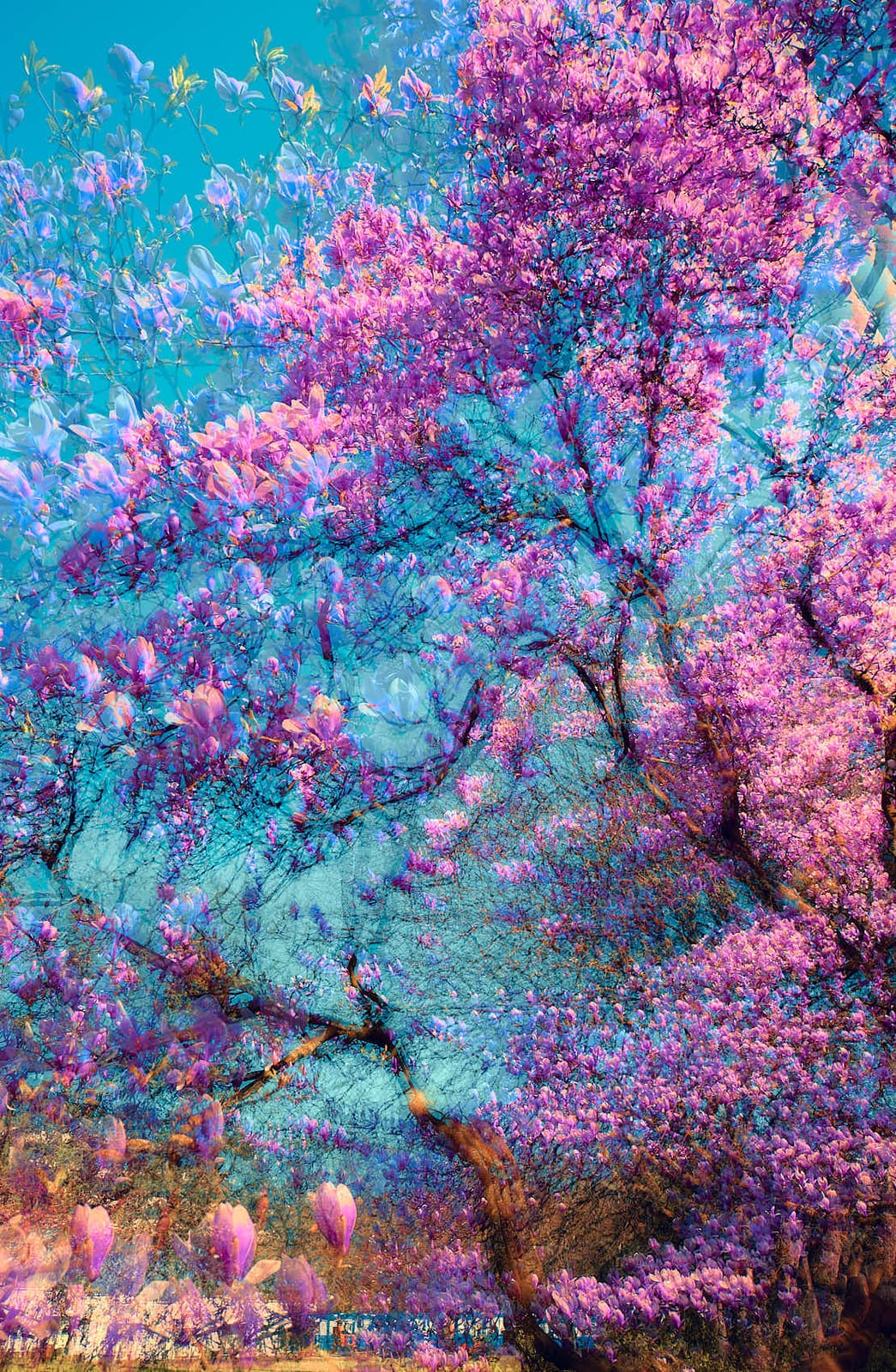 Ethereal Blooms in Blue