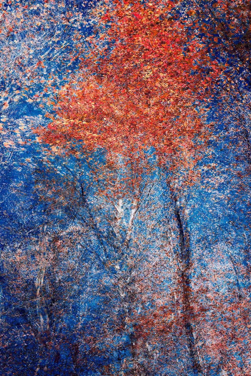 Phantom Structures Energy of Light and Color
