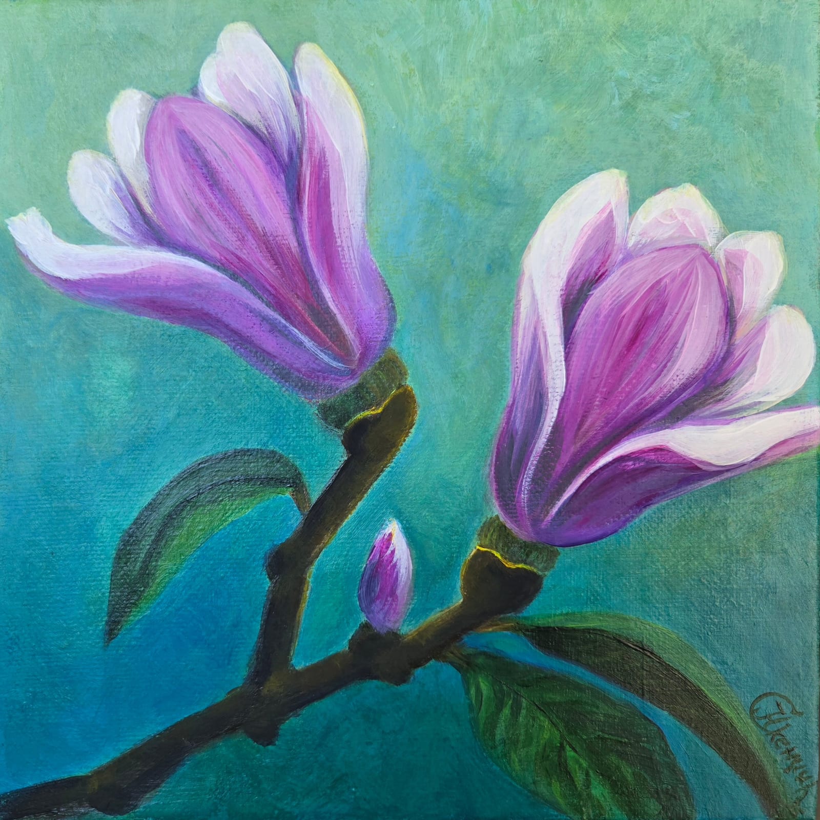 Magnolia von Jelica Skendzic