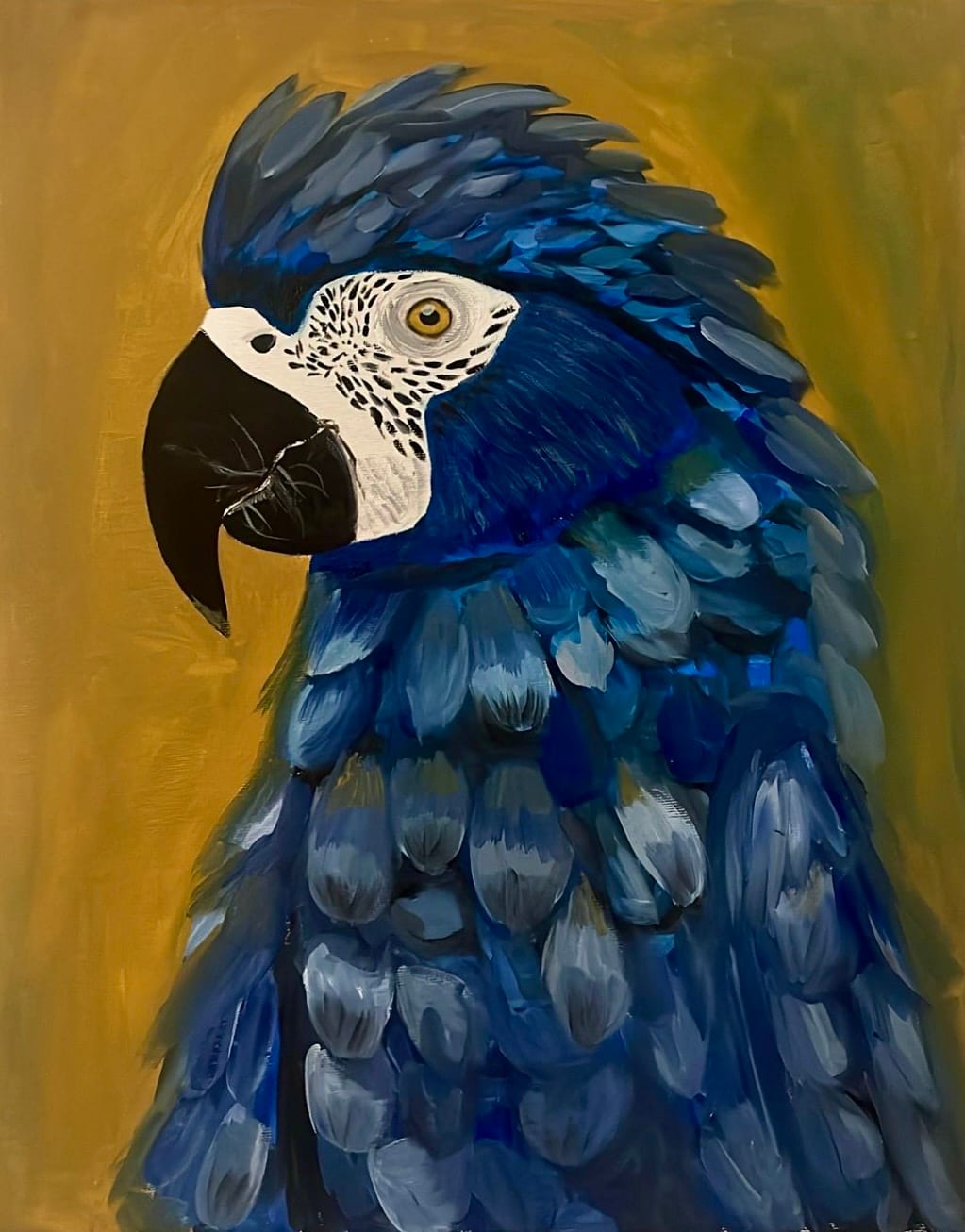 Blue Parrot