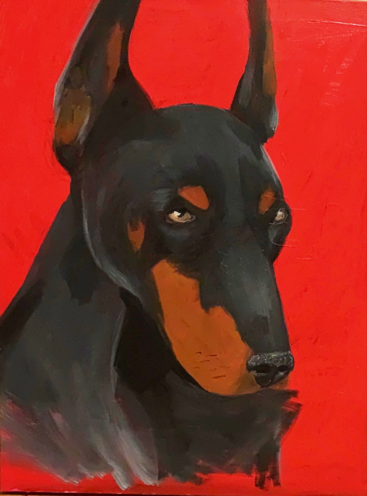 Dobermann Rot von Tijana Stankovic