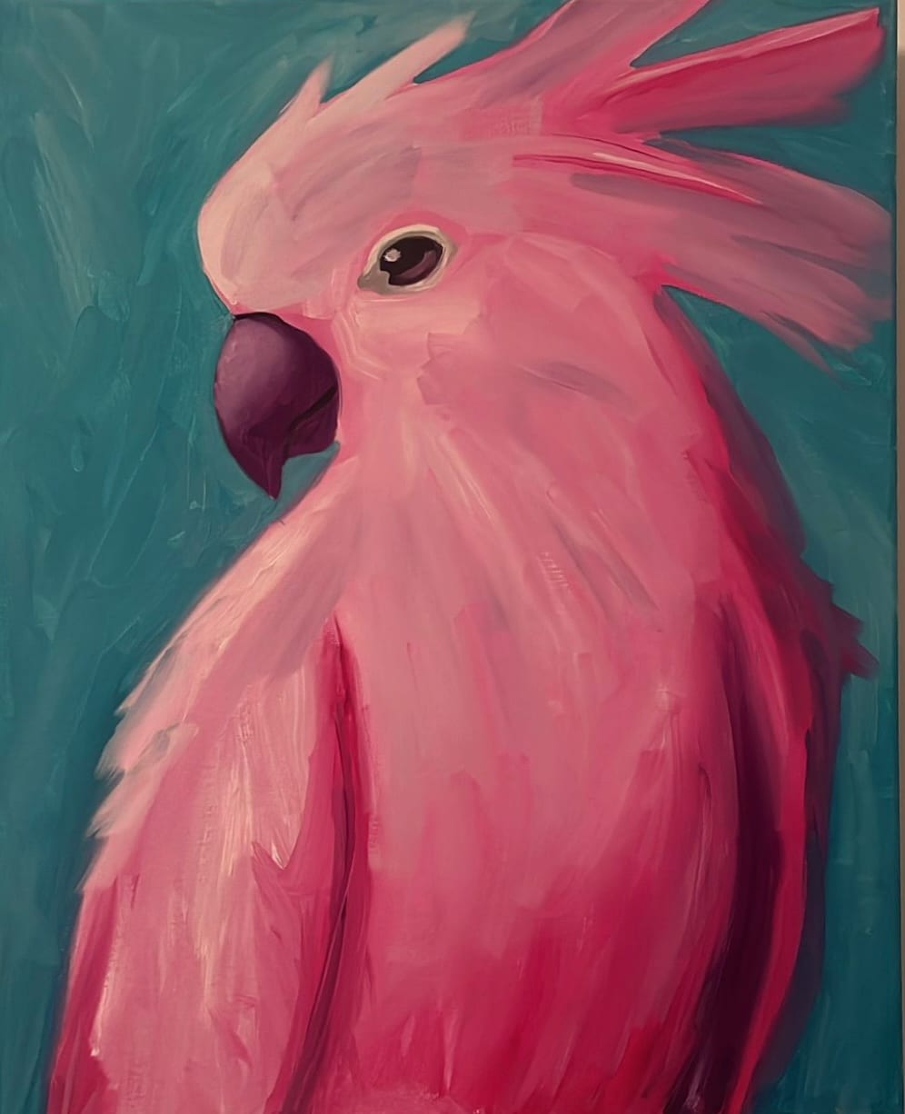 Pink Parrot
