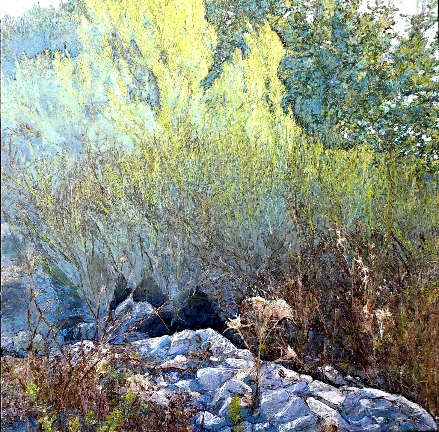HIDDEN SONG