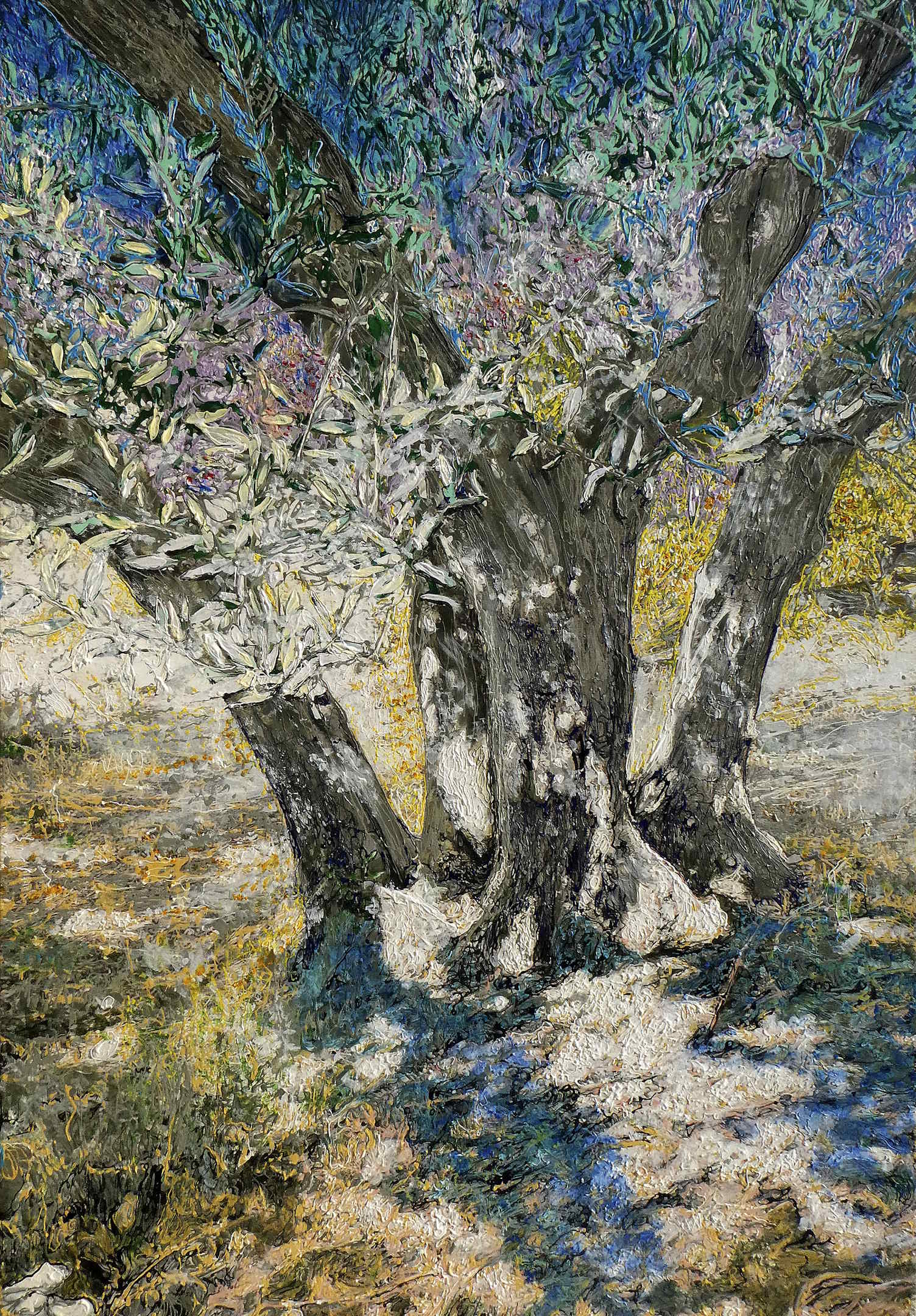 OLD OLIVE