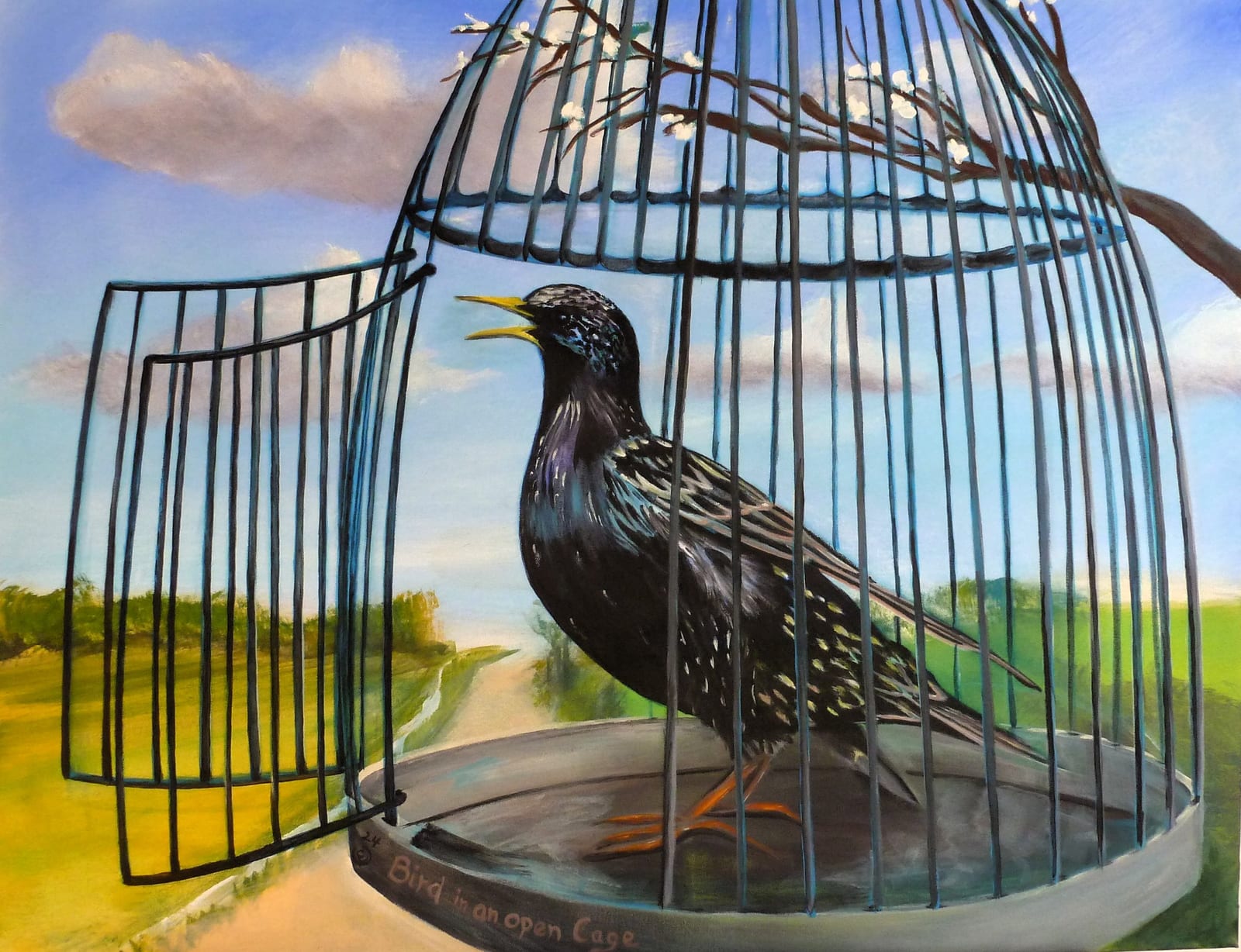 Bird in an open Cage von ellen urlaub