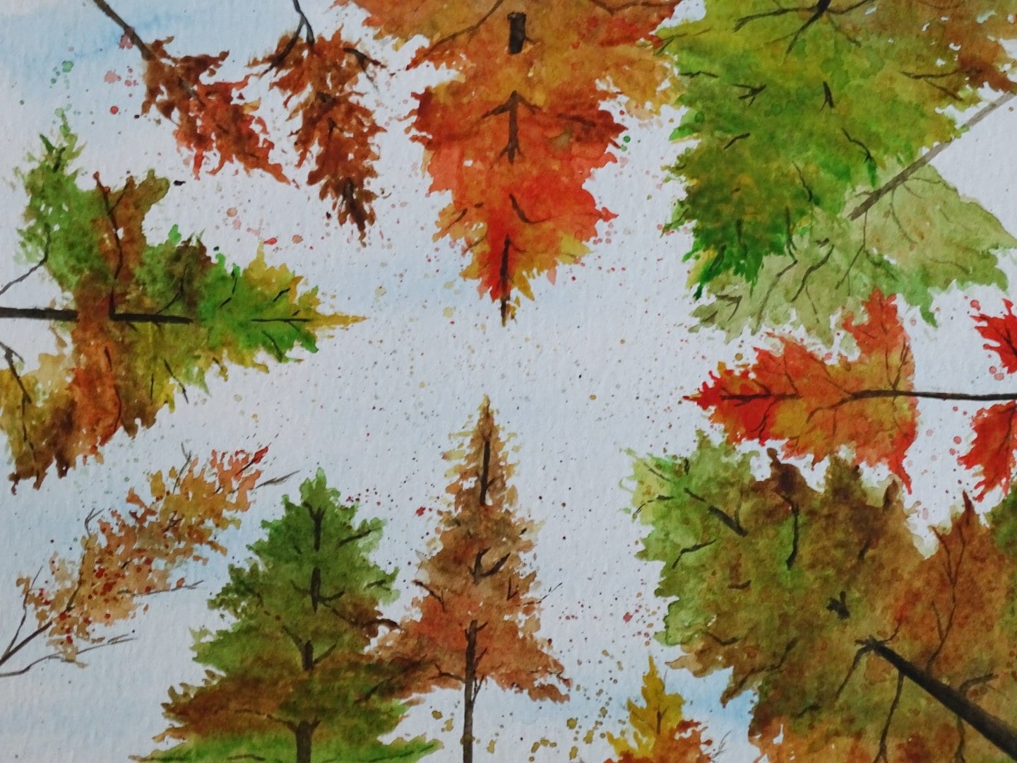 Herbstlaub von Eveline Wolz
