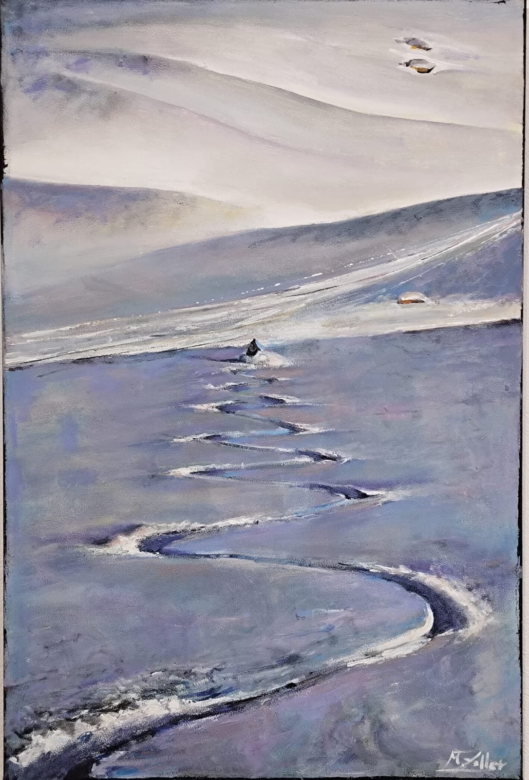 Skiabfahrt von Marco Zoller