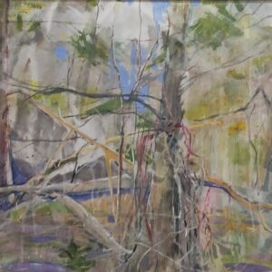 Virgin Forest 3