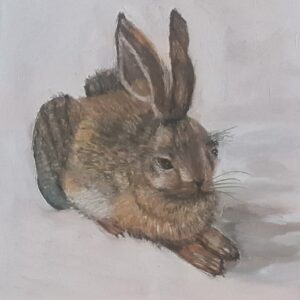Hase