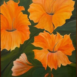 Hibiskus