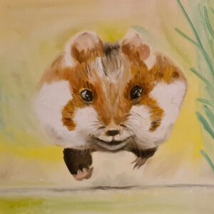 Fliegender Hamster